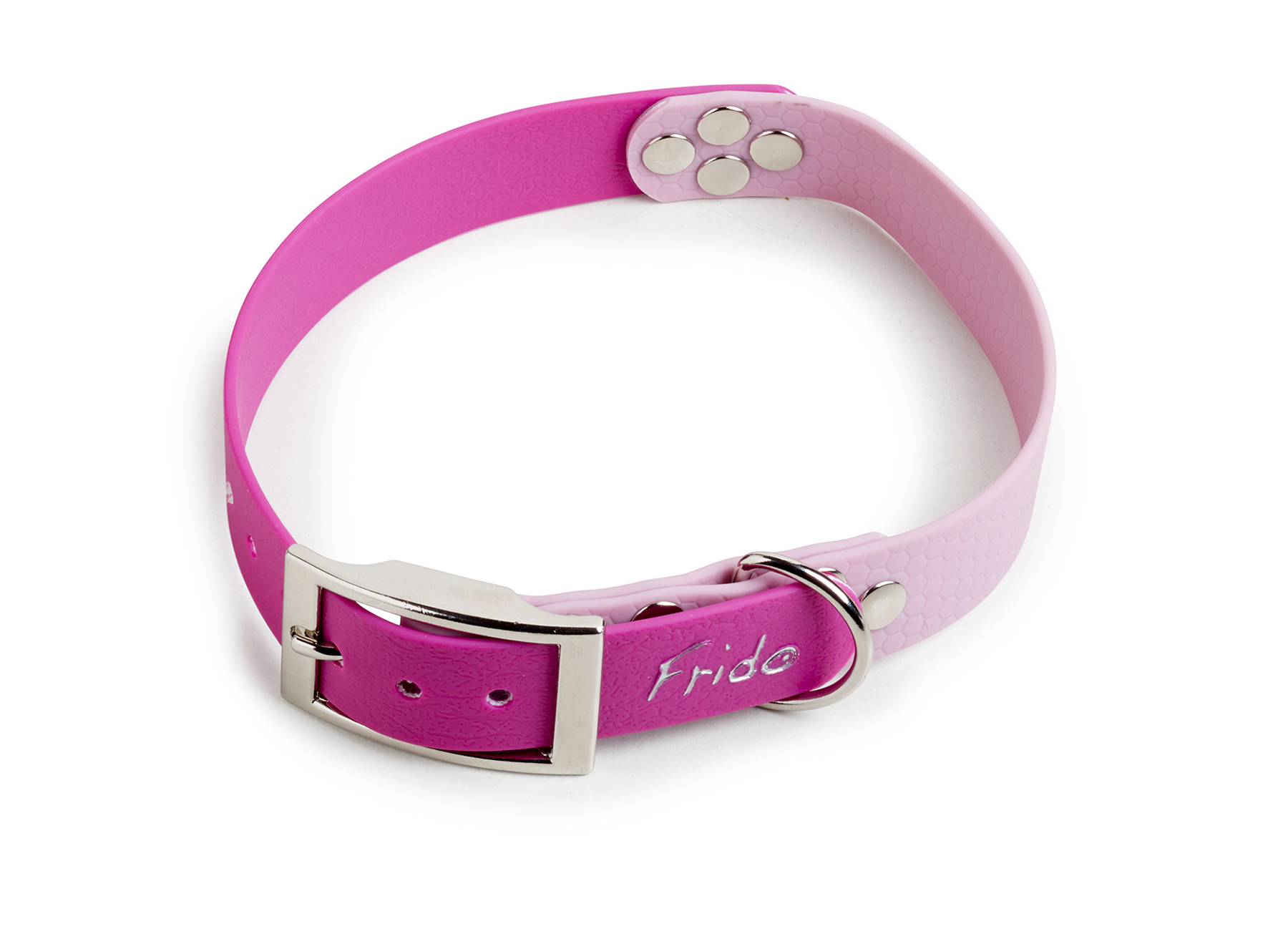 Collari Pop Frido Rosa / Lilla – taglie M–XL