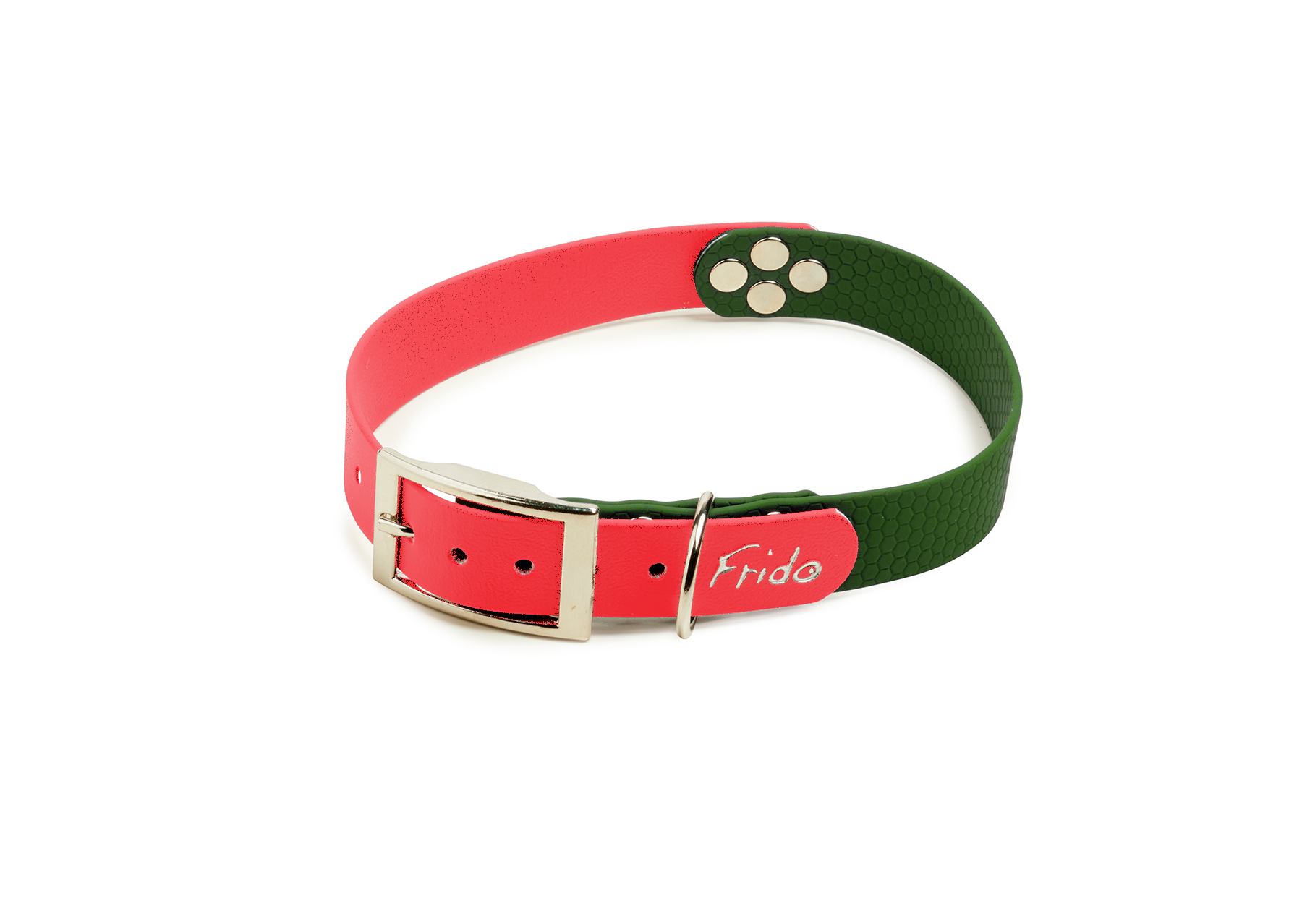 Collari Pop Frido Fucsia / Verde – taglie M–XL