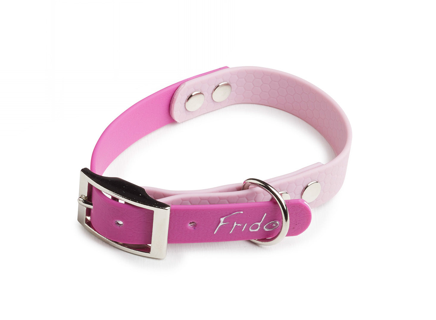 Collari Pop Frido Rosa / Lilla – taglie Toy–S