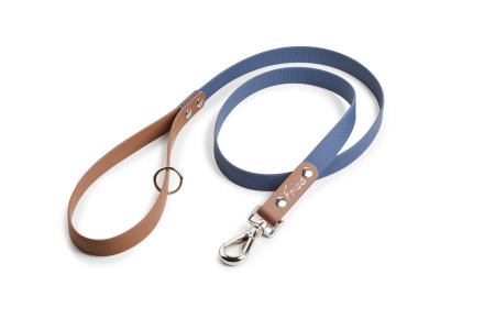 Guinzagli Pop Frido Blu / Marrone