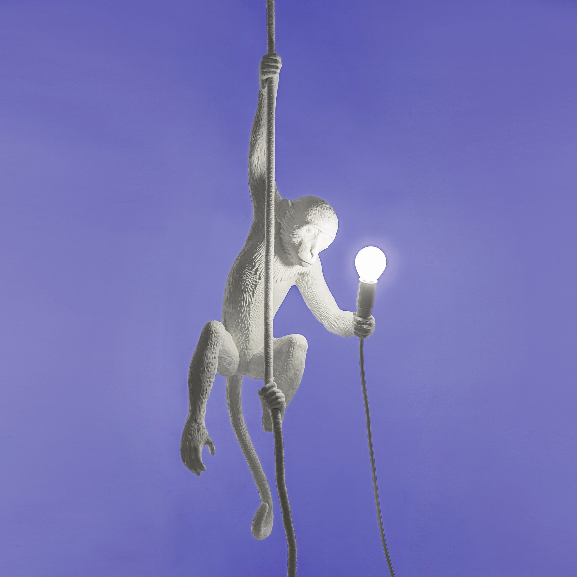 The Monkey Lamp Ceiling Version Seletti accesa