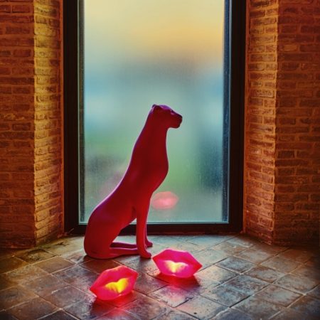 Kira fucsia – Candyslab