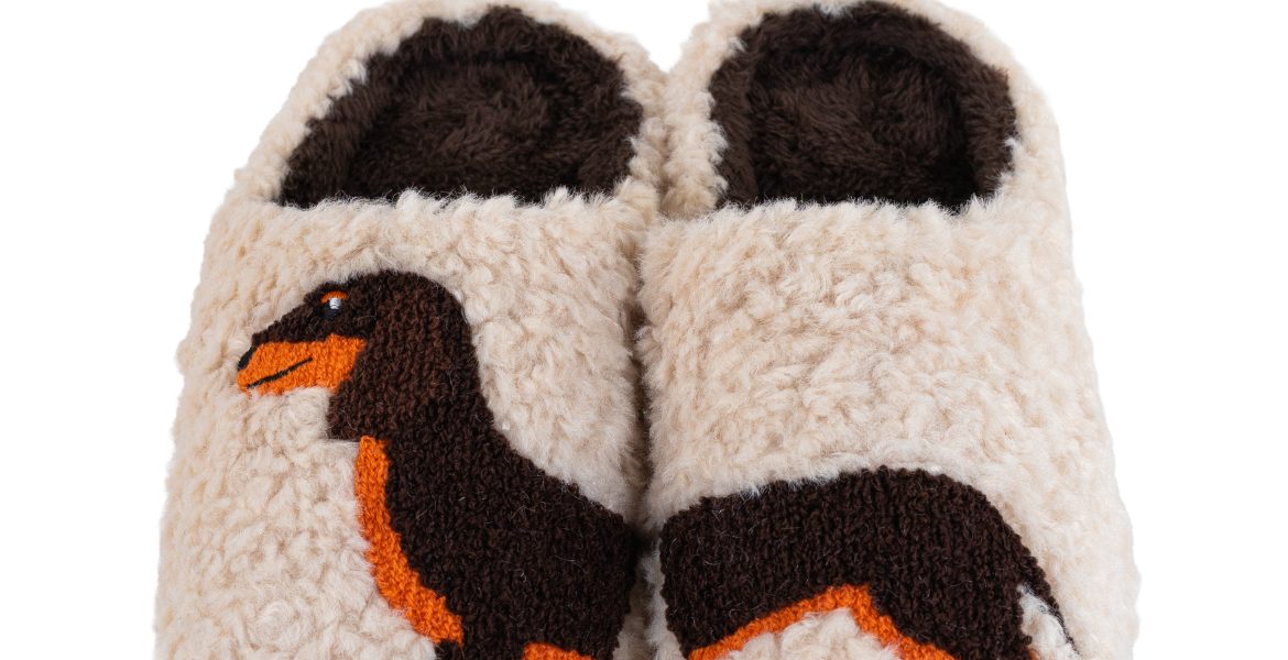 Pantofole Bassotto WD Lifestyle – vista del modello